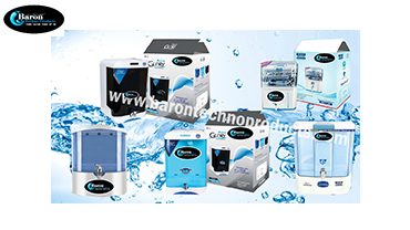 Website Design & Development